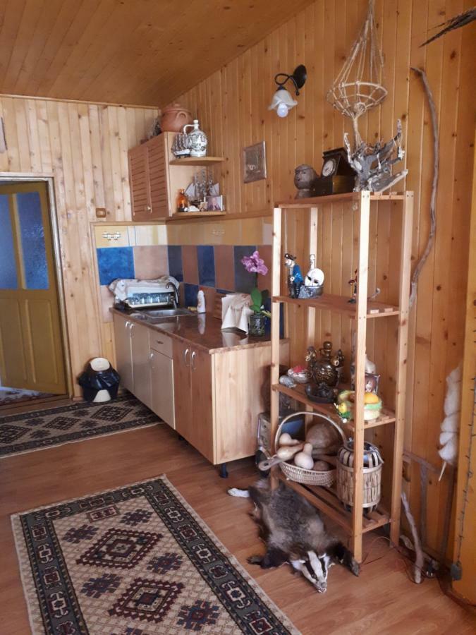 Appartement Casa Fetic à Nehoiu Extérieur photo