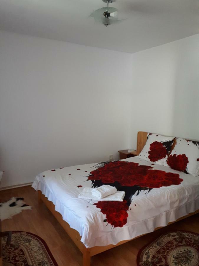 Appartement Casa Fetic à Nehoiu Extérieur photo