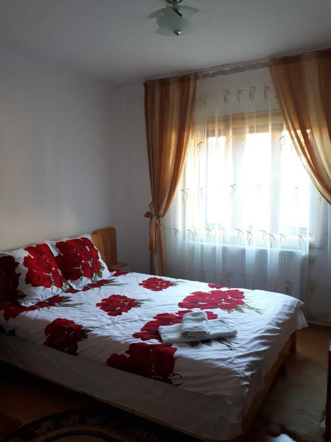 Appartement Casa Fetic à Nehoiu Extérieur photo